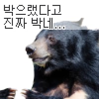 icon_16 (1)