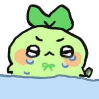 로아콘 (13)