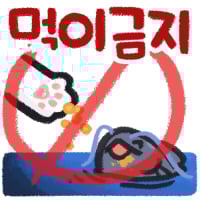 로아콘 (33)
