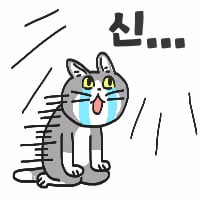 icon_99