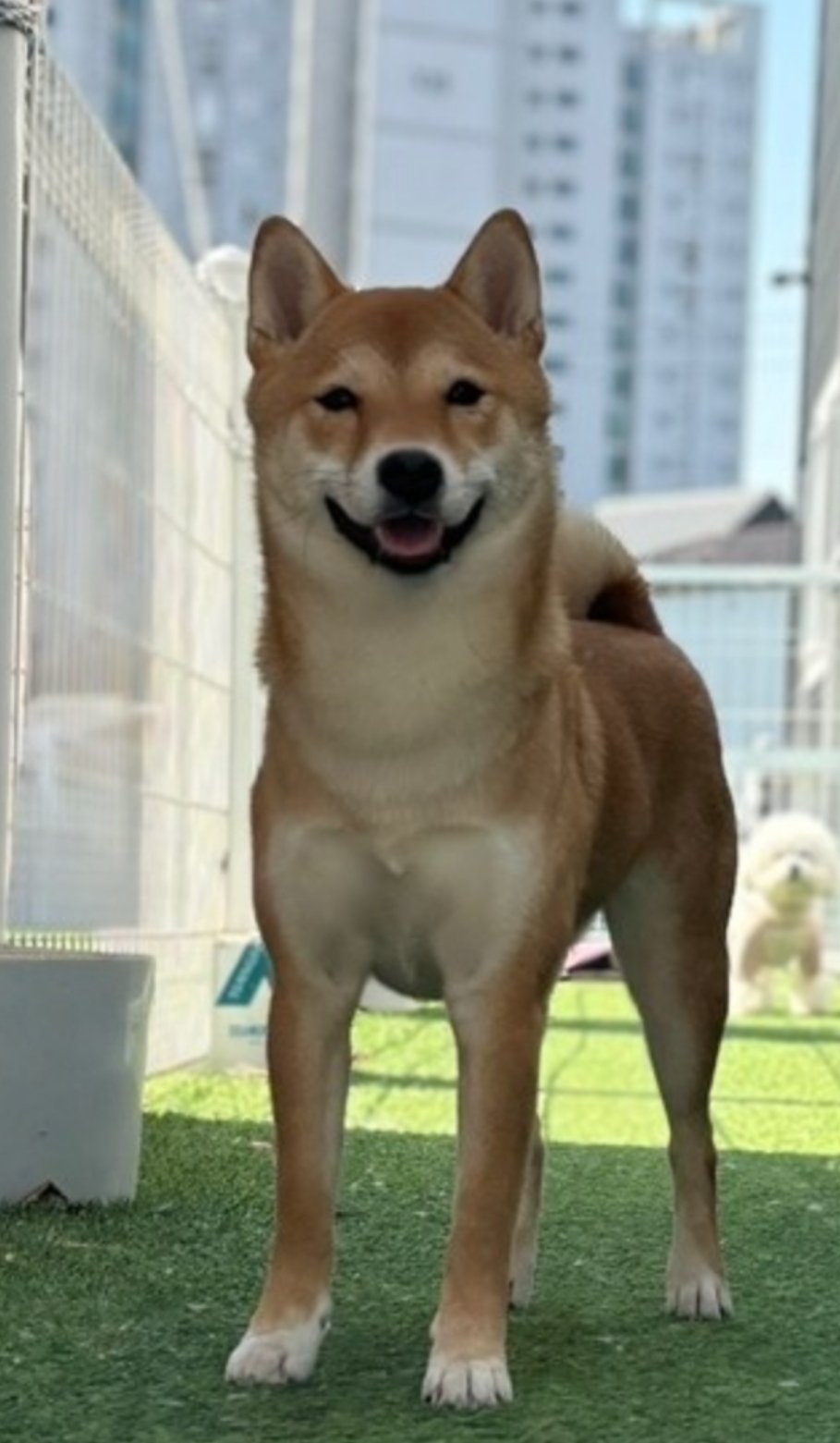 Screenshot_20240805_174853_KakaoTalk.jpg
