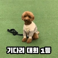 미주밈20