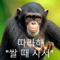 미주밈003