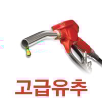 고급유콘