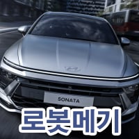 로봇메기