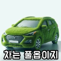 풀옵