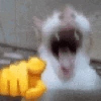 127-632213493-0-4-emoticon-632263014