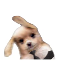 icon_41