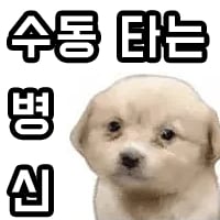 수병신