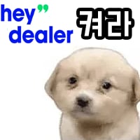 헤이딜러켜라
