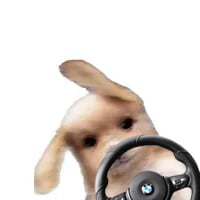 드리프트
