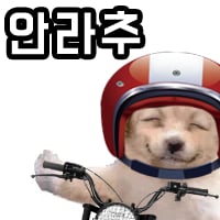 안라추