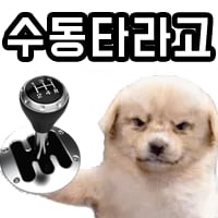 수동타라고