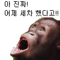 icon_15