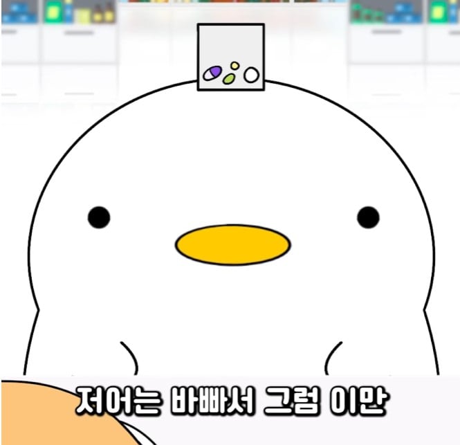 화면 캡처 2025-03-17 090051.jpg