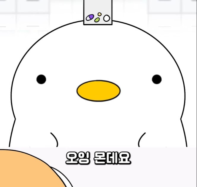 화면 캡처 2025-03-17 090013.jpg