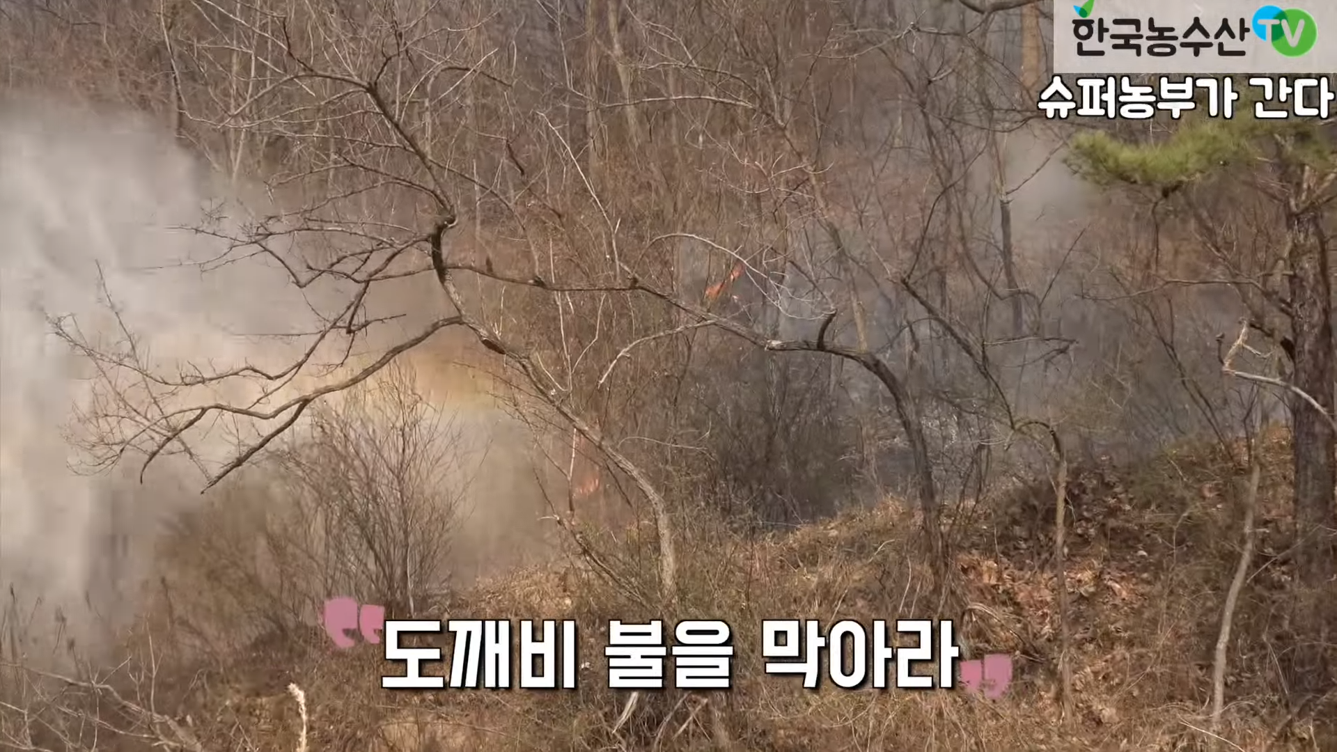 [한국농수산TV] 의성 산불에 광역살포기 끌고간 어떤 농부 이야기 5-57 screenshot.png