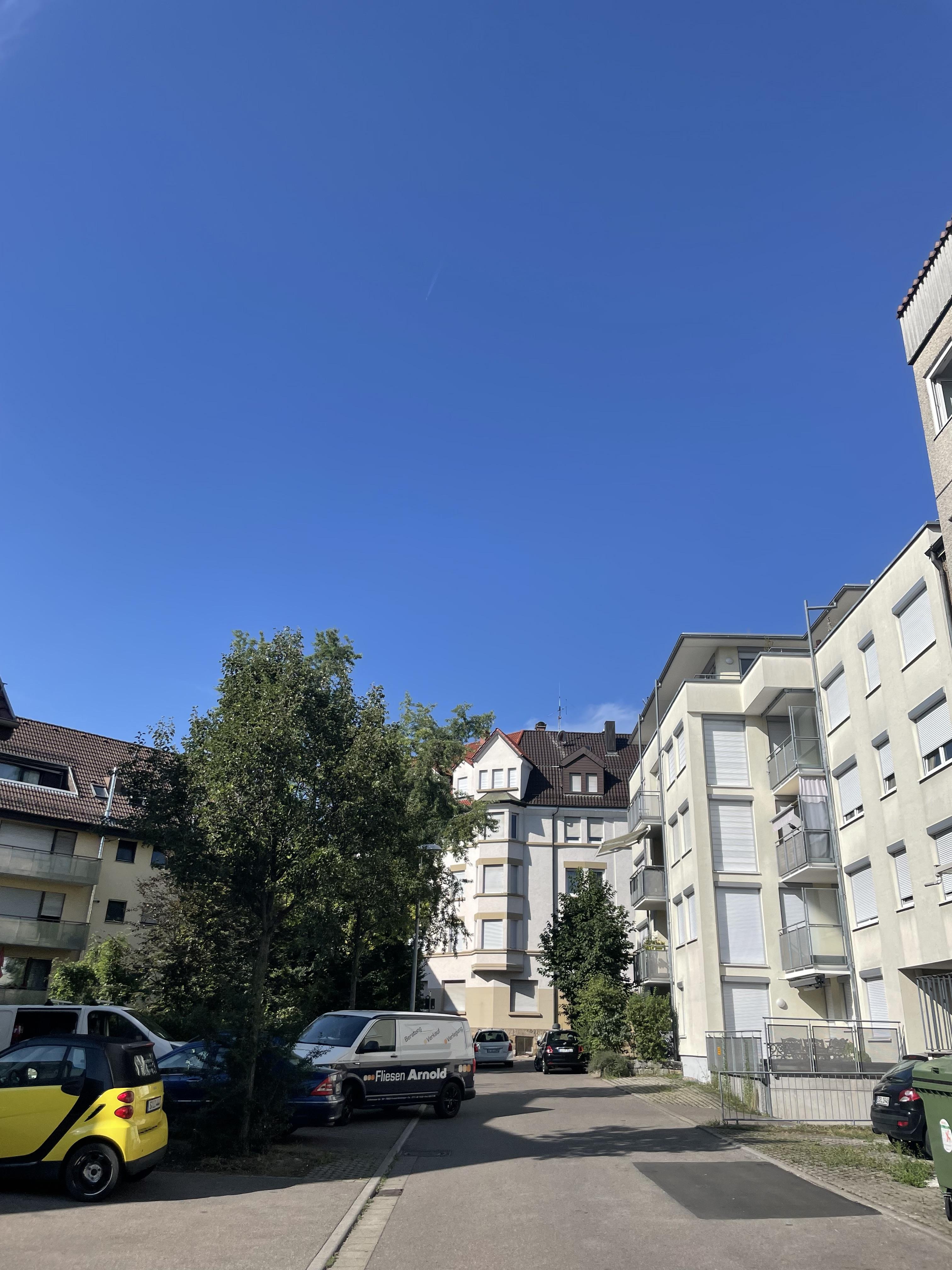 IMG_6084.jpeg.jpg