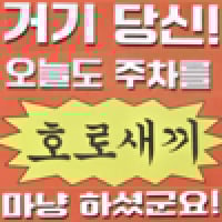 호로새끼