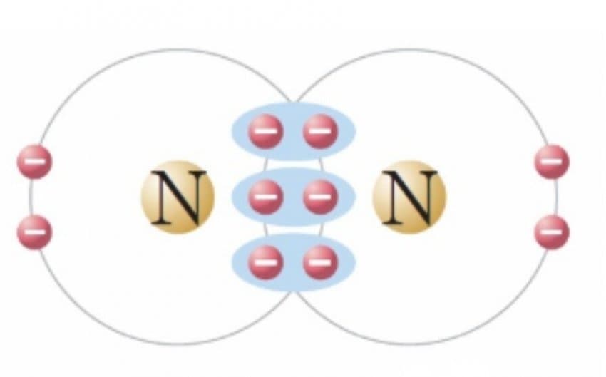 1750145500.jpg