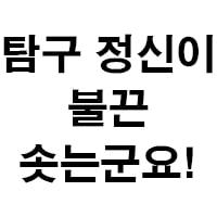 icon_11