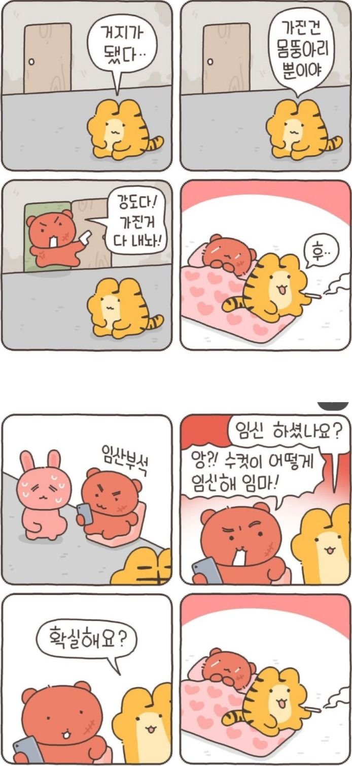 3551663217_J6f8X4Me_ibloSRO7a0kUrZHp.jpeg