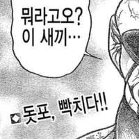 03 (1)