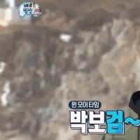 박보1