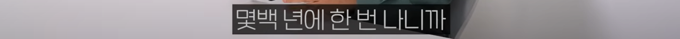 화면 캡처 2025-06-29 144900.png