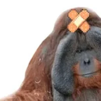 icon_55