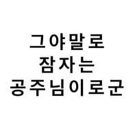 그야말로 잠자는 공주님이로군