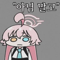 icon_1 (13)