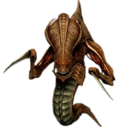 195f75f524713b537.webp