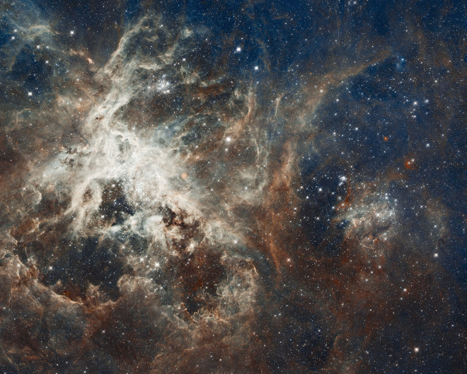 Tarantula Nebula small.jpg