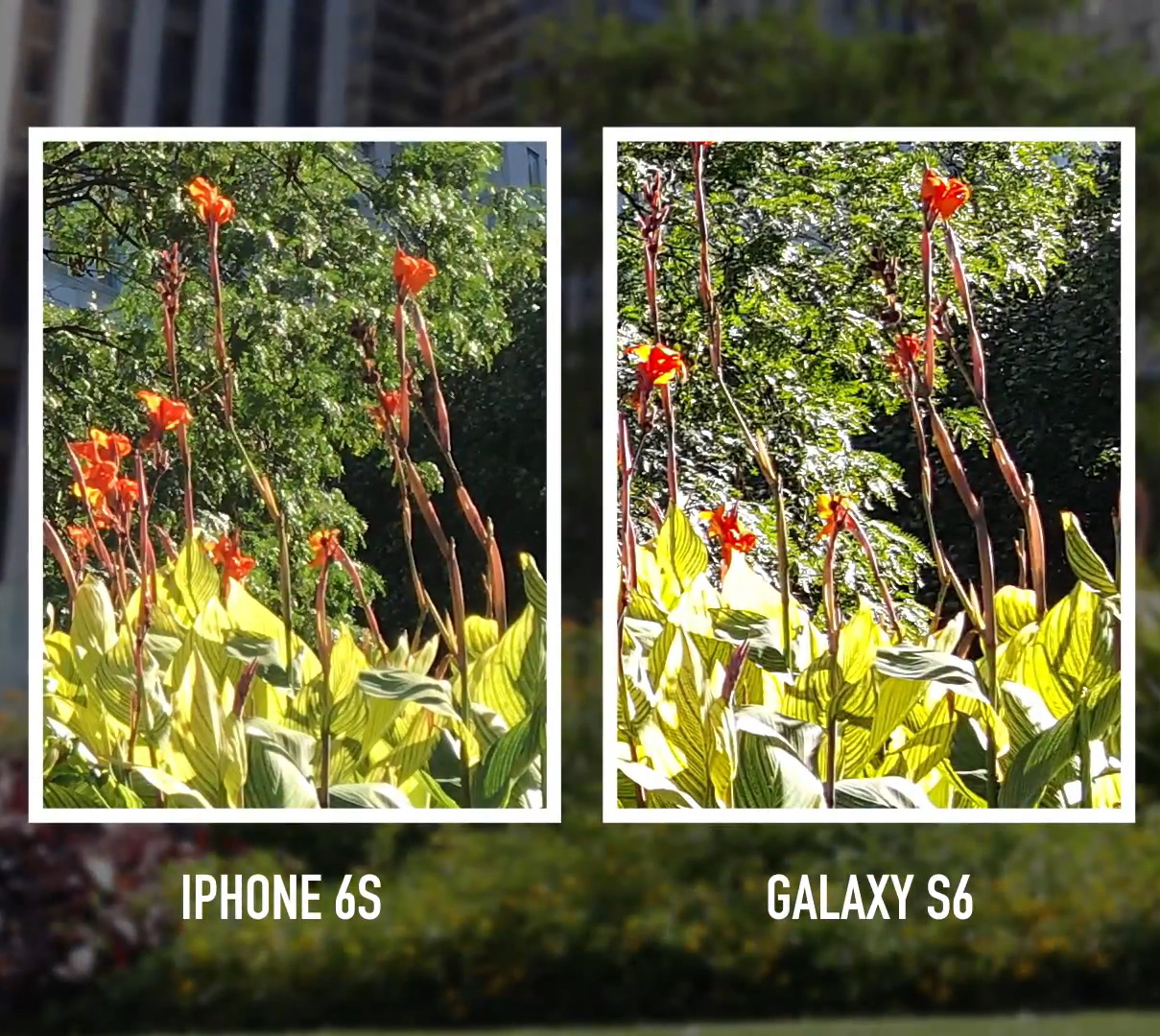 Camera shootout  iPhone 6S vs. Galaxy S6 vs. LG G4.mp4_20150926_203035.929.jpg