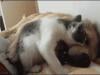 /files/thumbnails/011/495/641/100x75.crop.jpg?t=1750608513