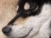 /files/thumbnails/127/497/634/100x75.crop.jpg?t=1748008859