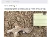 /files/thumbnails/190/418/640/100x75.crop.jpg?t=1750207670