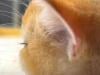 /files/thumbnails/197/138/629/100x75.crop.jpg?t=1745806519