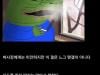 /files/thumbnails/246/076/646/100x75.crop.jpg?t=1752548949