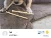 /files/thumbnails/276/623/634/100x75.crop.jpg?t=1748072268