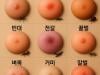 /files/thumbnails/401/133/646/100x75.crop.jpg?t=1752564711