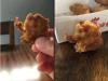 /files/thumbnails/427/441/634/100x75.crop.jpg?t=1747998319