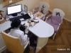/files/thumbnails/575/416/651/100x75.crop.jpg?t=1754831949