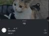 /files/thumbnails/611/243/652/100x75.crop.jpg?t=1755169636