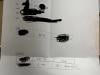 /files/thumbnails/786/149/646/100x75.crop.jpg?t=1752569191