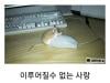/files/thumbnails/909/290/652/100x75.crop.jpg?t=1755189459