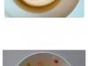 /files/thumbnails/926/907/628/100x75.crop.jpg?t=1745675491