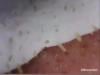 /files/thumbnails/931/469/634/100x75.crop.jpg?t=1748004119